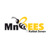 MnBees Kalâat Senan