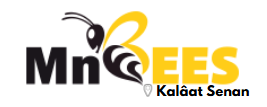 MnBees Kalâat Senan